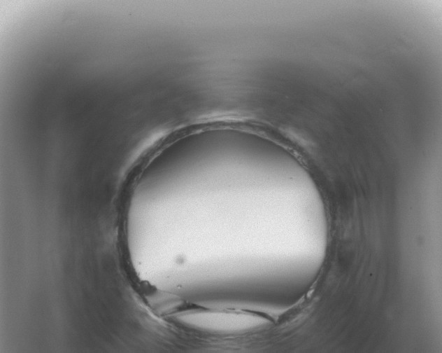 X0000067511406200604150121