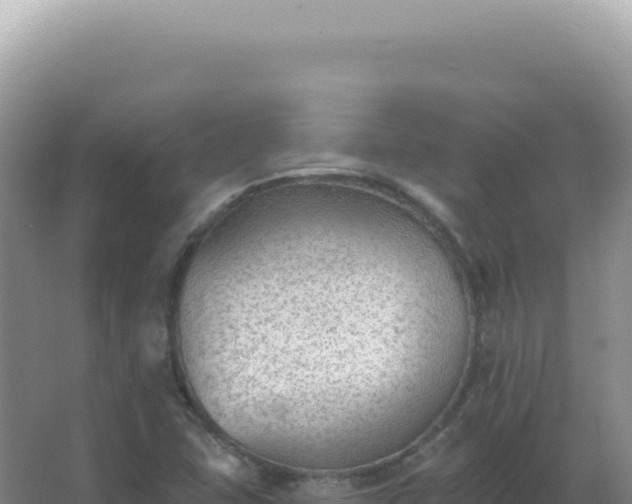 X0000067511407200604150121