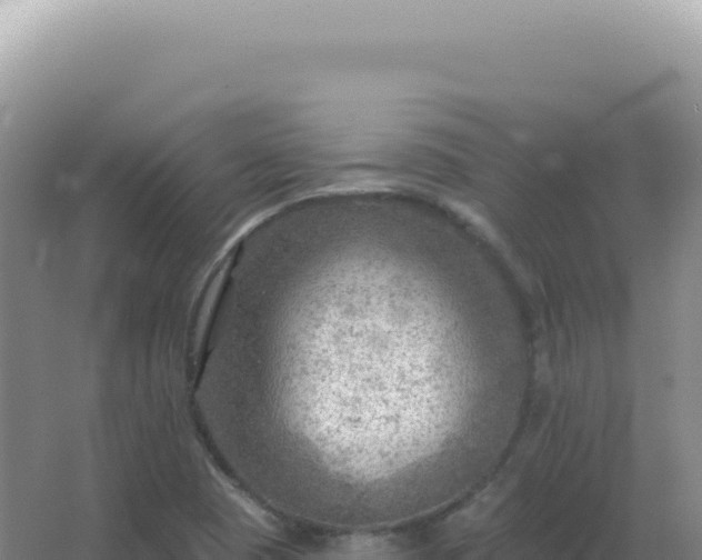 X0000067511409200604150121