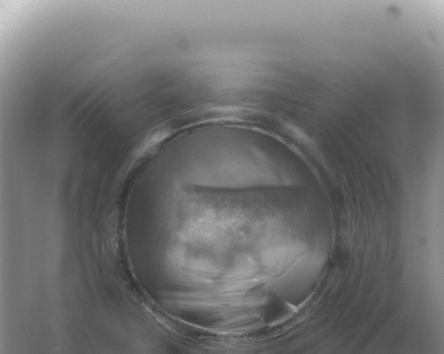 X0000067511411200604150121