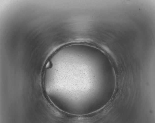 X0000067511412200604150121