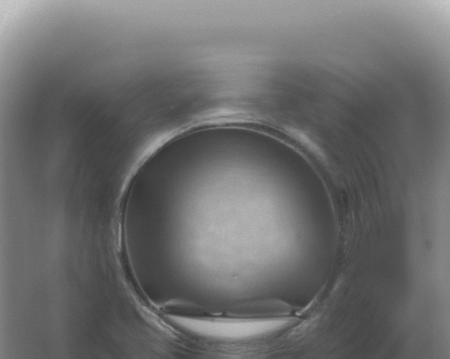 X0000067511413200604150121