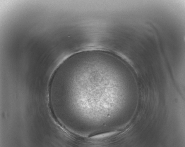 X0000067511415200604150121