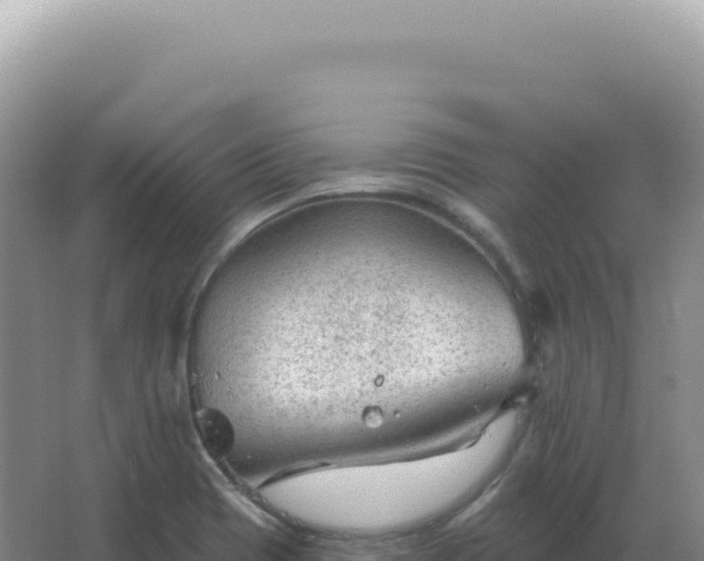 X0000067511417200604150122