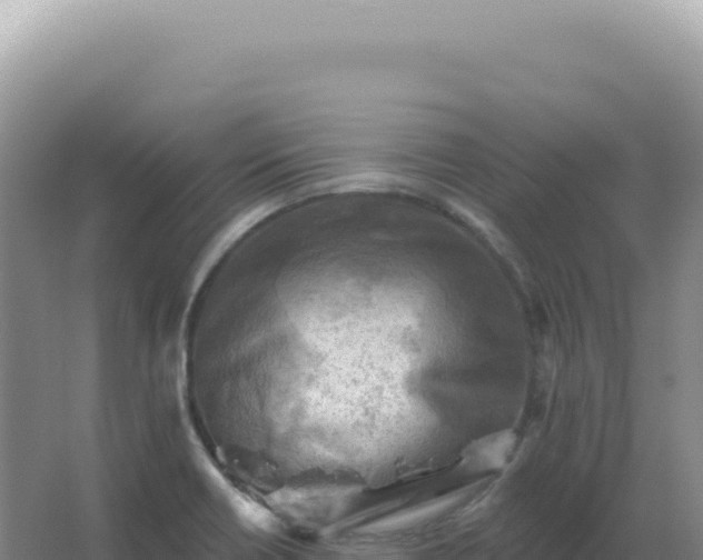 X0000067511418200604150122