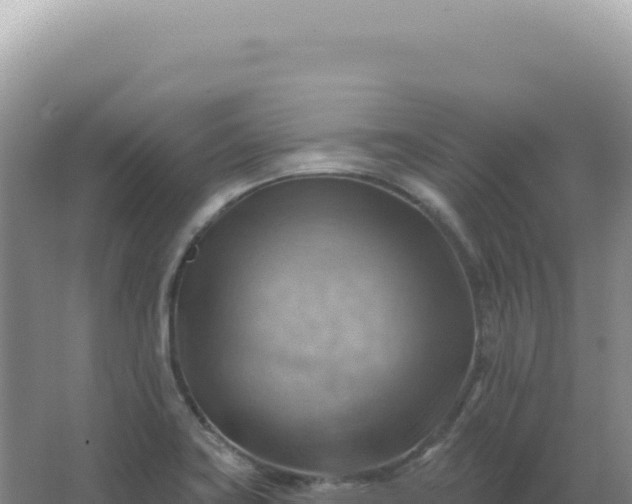 X0000067511419200604150122