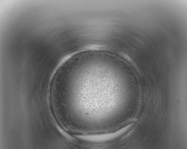 X0000067511421200604150122