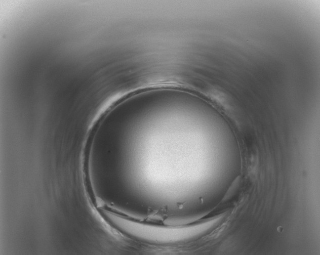 X0000067511422200604150122