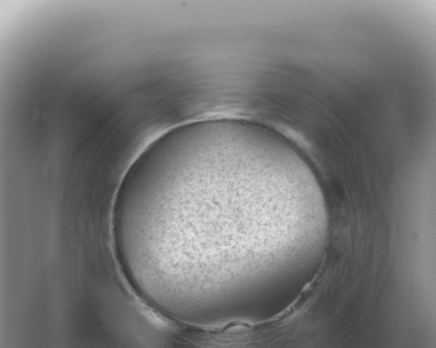 X0000067511423200604150122