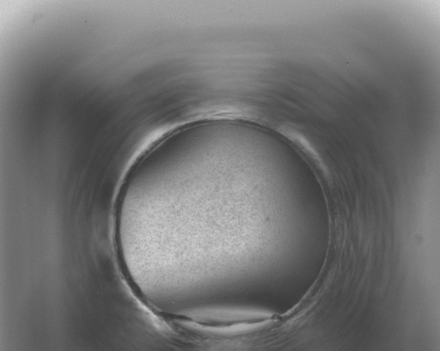 X0000067511424200604150122