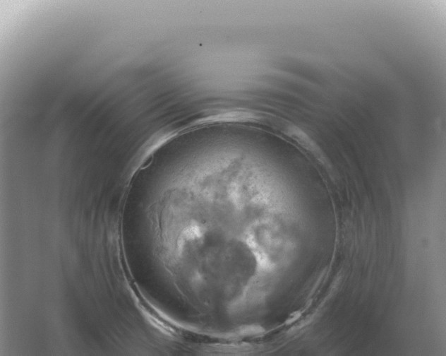 X0000067511425200604150122