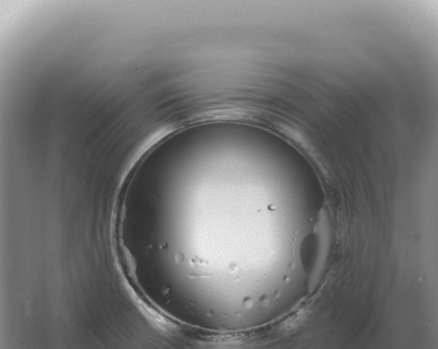 X0000067511426200604150122