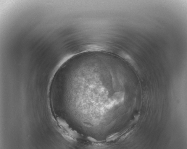 X0000067511427200604150122