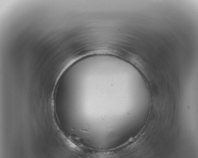 X0000067511428200604150122