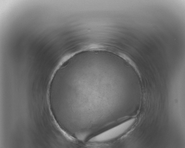 X0000067511429200604150122