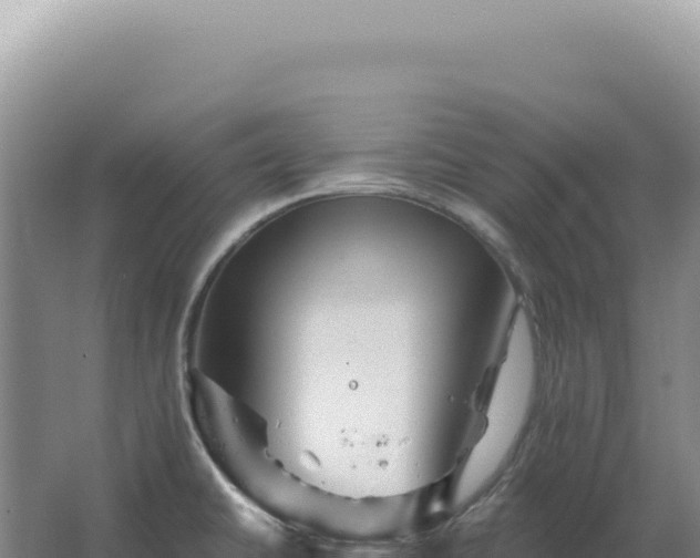 X0000067511430200604150122