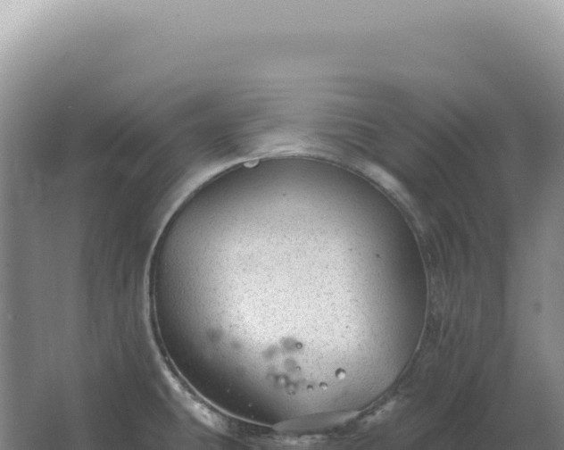 X0000067511431200604150122