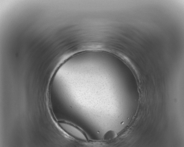 X0000067511432200604150122