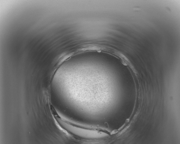 X0000067511433200604150122