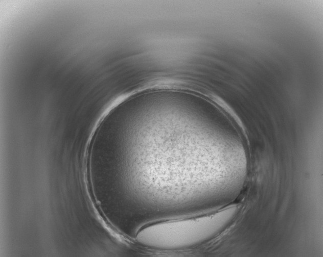 X0000067511437200604150122