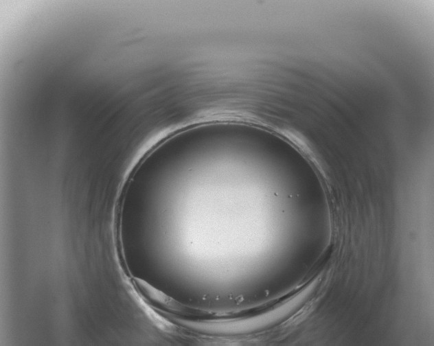 X0000067511438200604150122