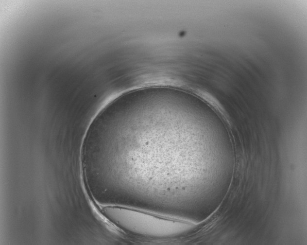 X0000067511439200604150122