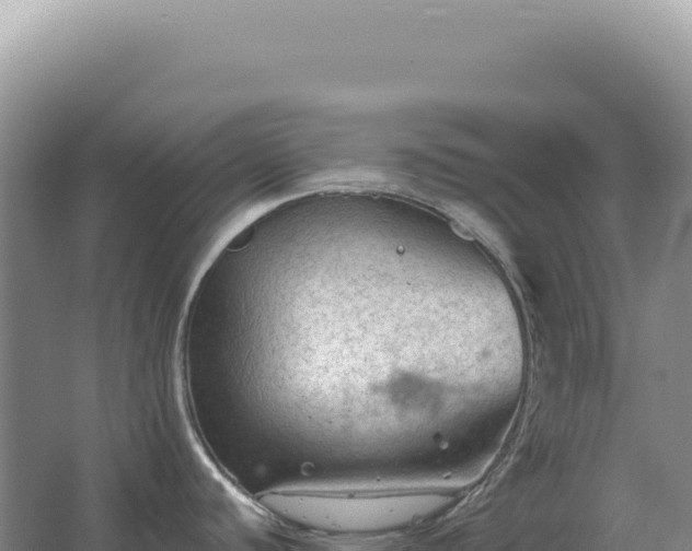 X0000067511440200604150122