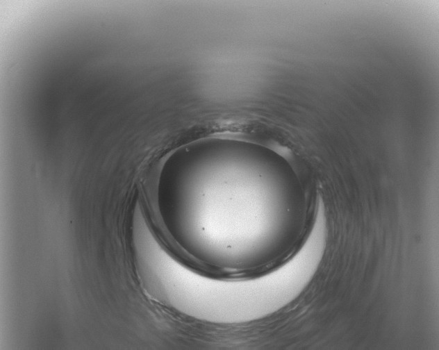 X0000067511441200604150121