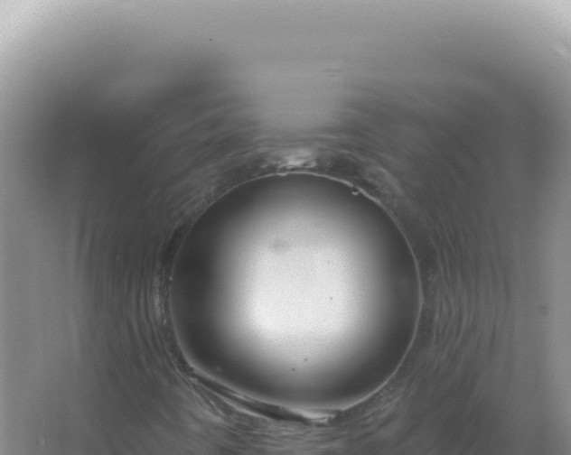 X0000067511442200604150121