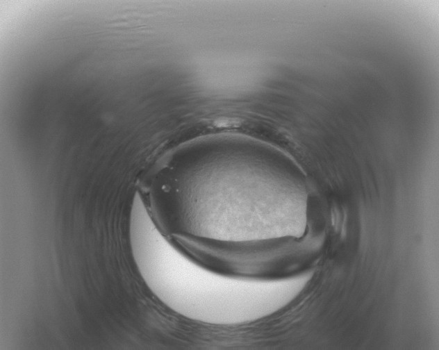 X0000067511443200604150121