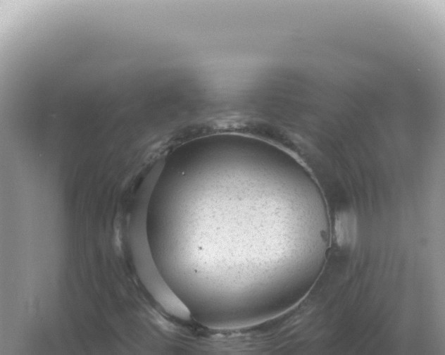 X0000067511444200604150121