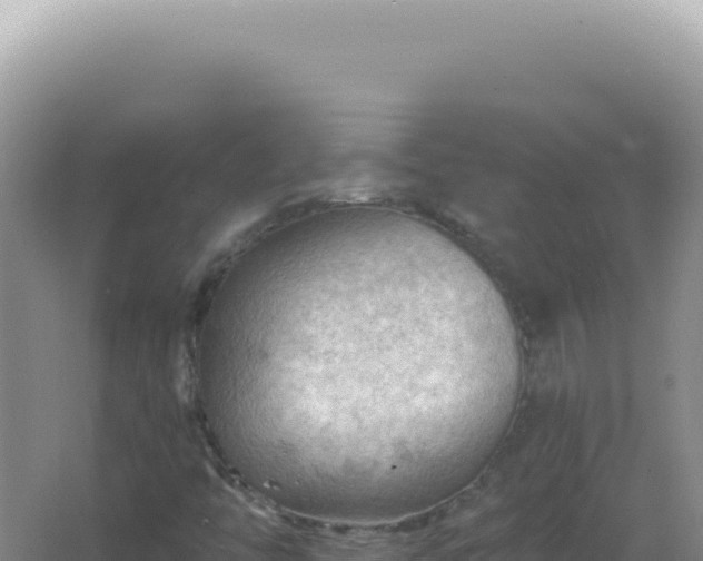 X0000067511446200604150121