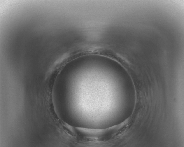 X0000067511447200604150121