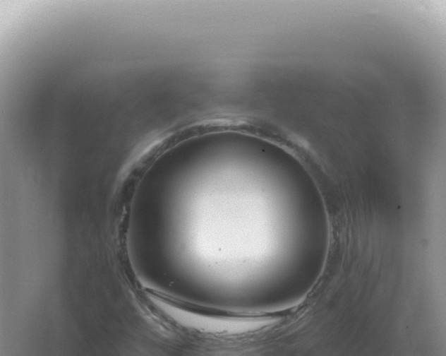 X0000067511448200604150121