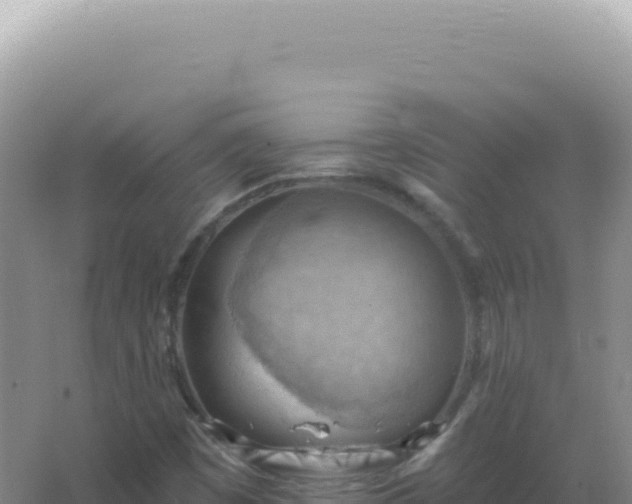 X0000067511449200604150121