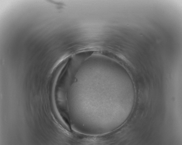 X0000067511450200604150121