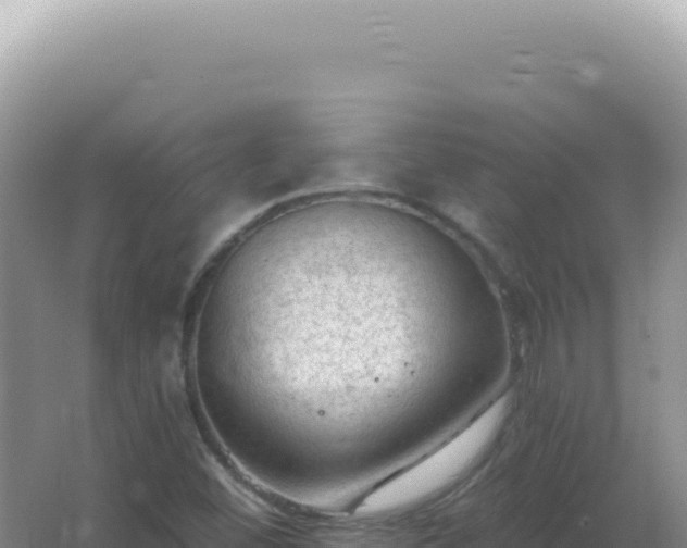 X0000067511452200604150121