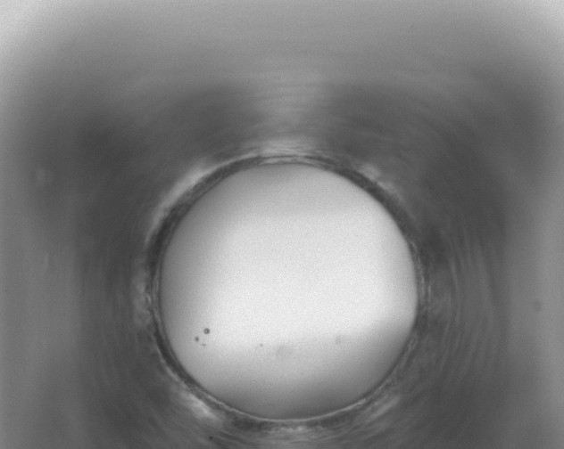 X0000067511454200604150121