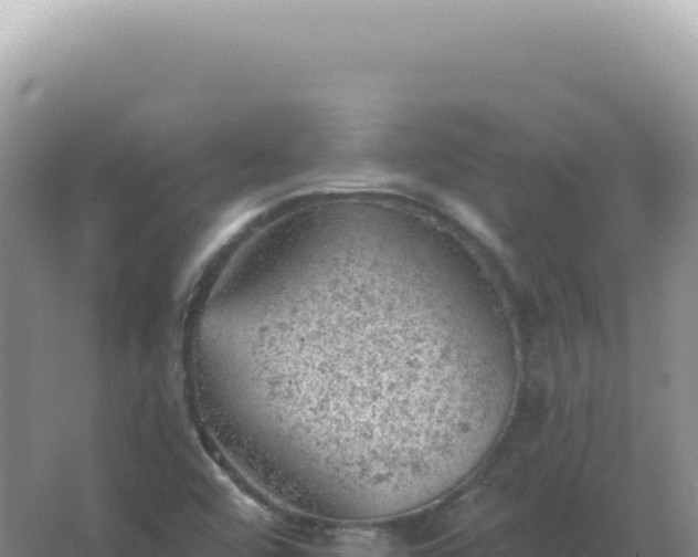 X0000067511456200604150121