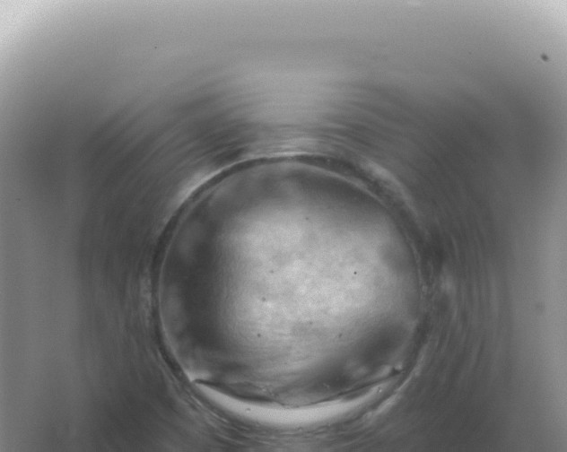 X0000067511457200604150121