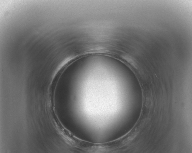 X0000067511458200604150121