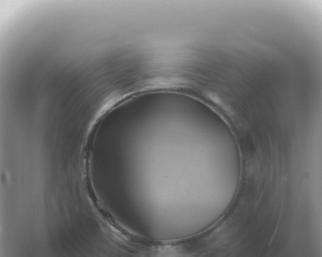 X0000067511459200604150121