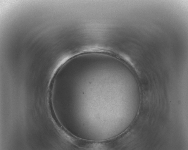 X0000067511463200604150121