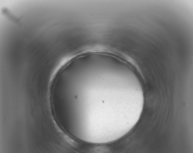 X0000067511464200604150121