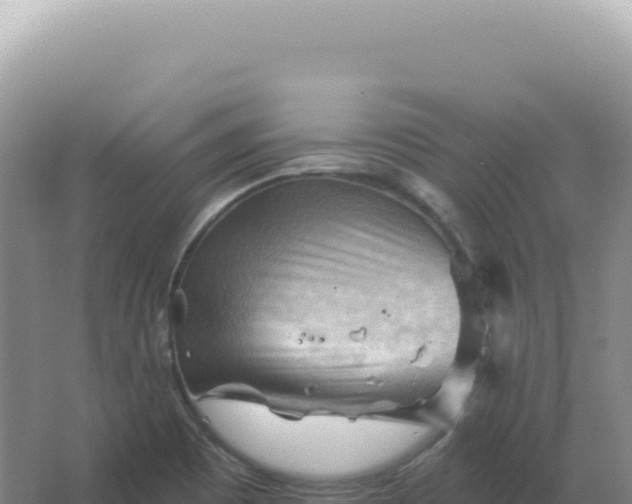 X0000067511465200604150121