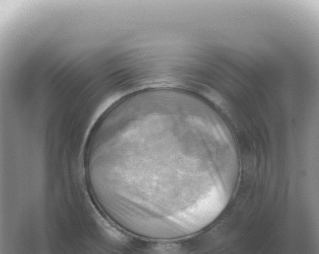 X0000067511466200604150121