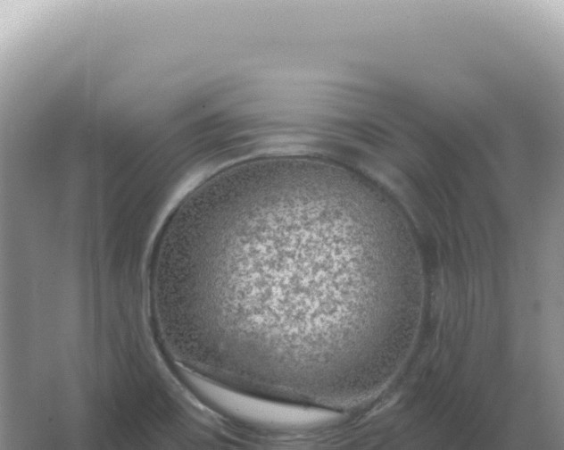 X0000067511467200604150121