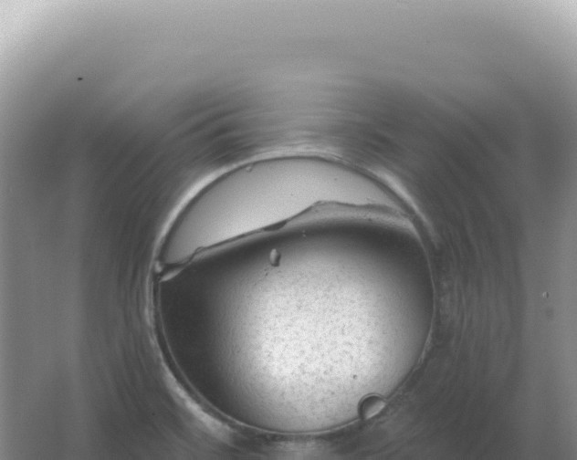 X0000067511468200604150121