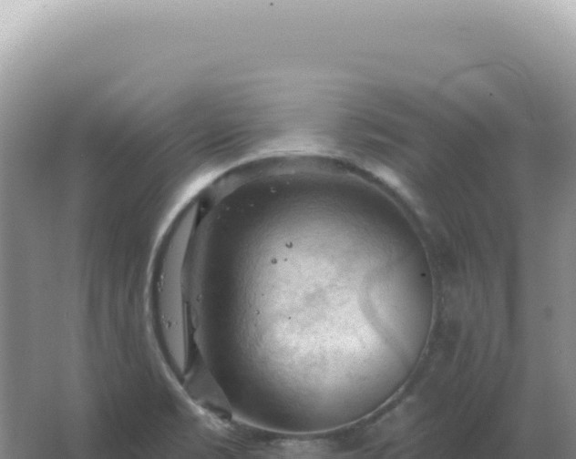 X0000067511469200604150121