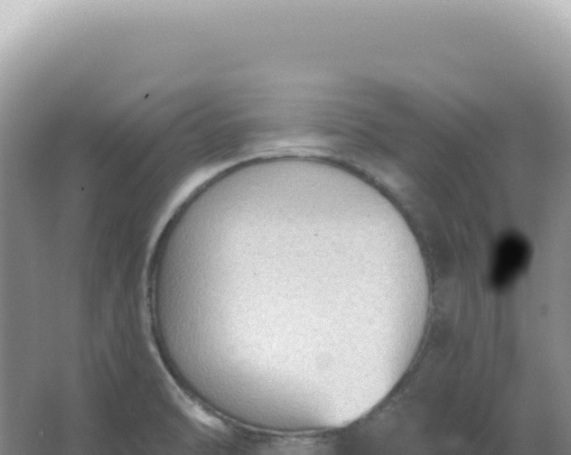 X0000067511470200604150121